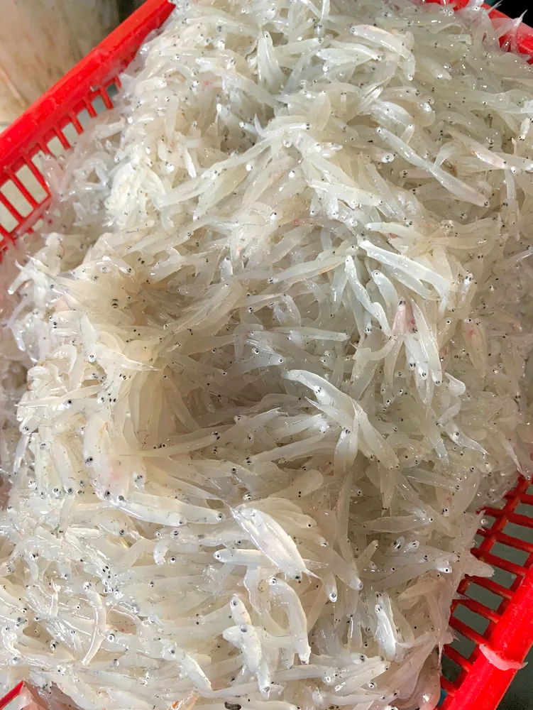 Teri Nasi Basah — foto 1